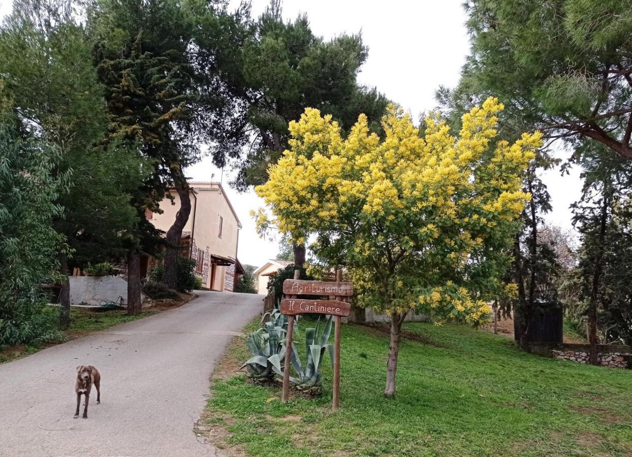 Agriturismo IL CANTINIERE Grosseto Exterior foto