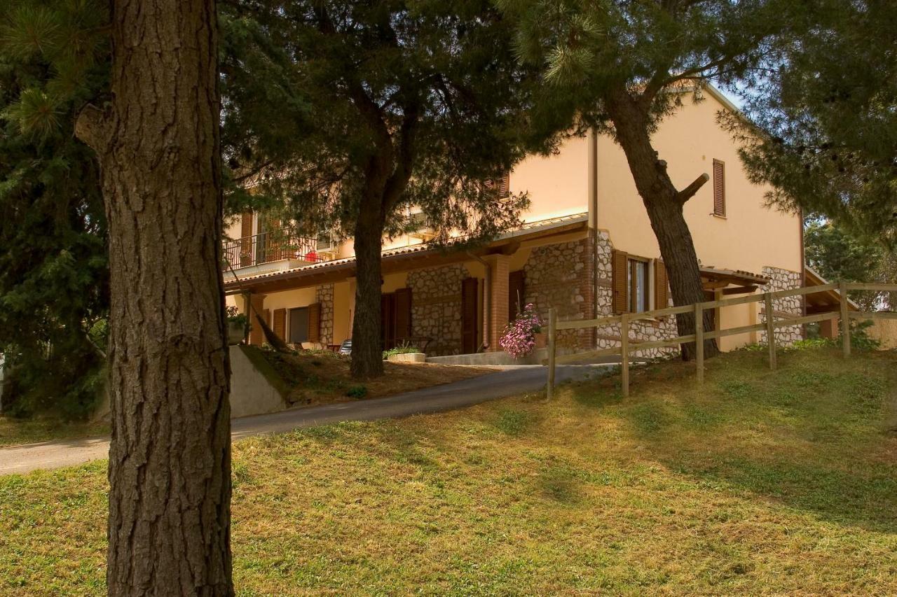 Agriturismo IL CANTINIERE Grosseto Exterior foto