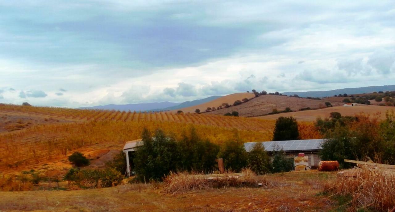 Agriturismo IL CANTINIERE Grosseto Exterior foto